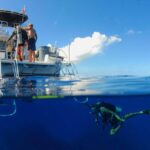 T. Diver