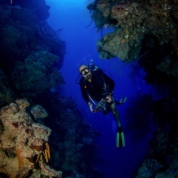 A scuba diver exploring the ocean near a cave, surrounded by vibrant marine life and the beauty of underwater scenery.