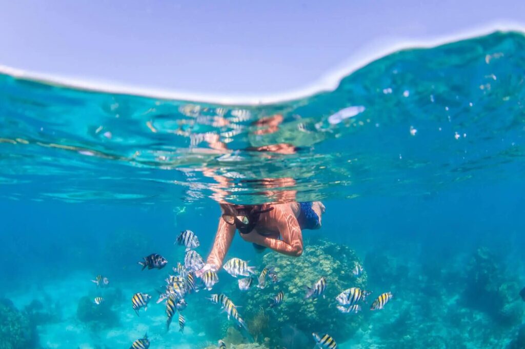 Man snorkelling and viewing colorful fish
